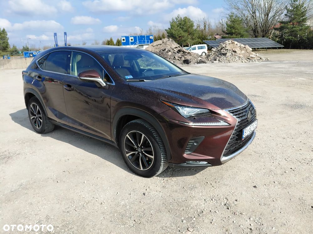Lexus NX 300 Business Edition AWD - 8