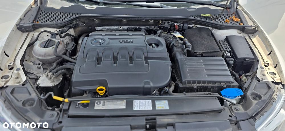Seat Leon - 8