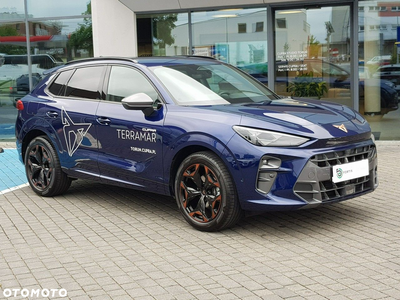 Cupra Terramar - 10