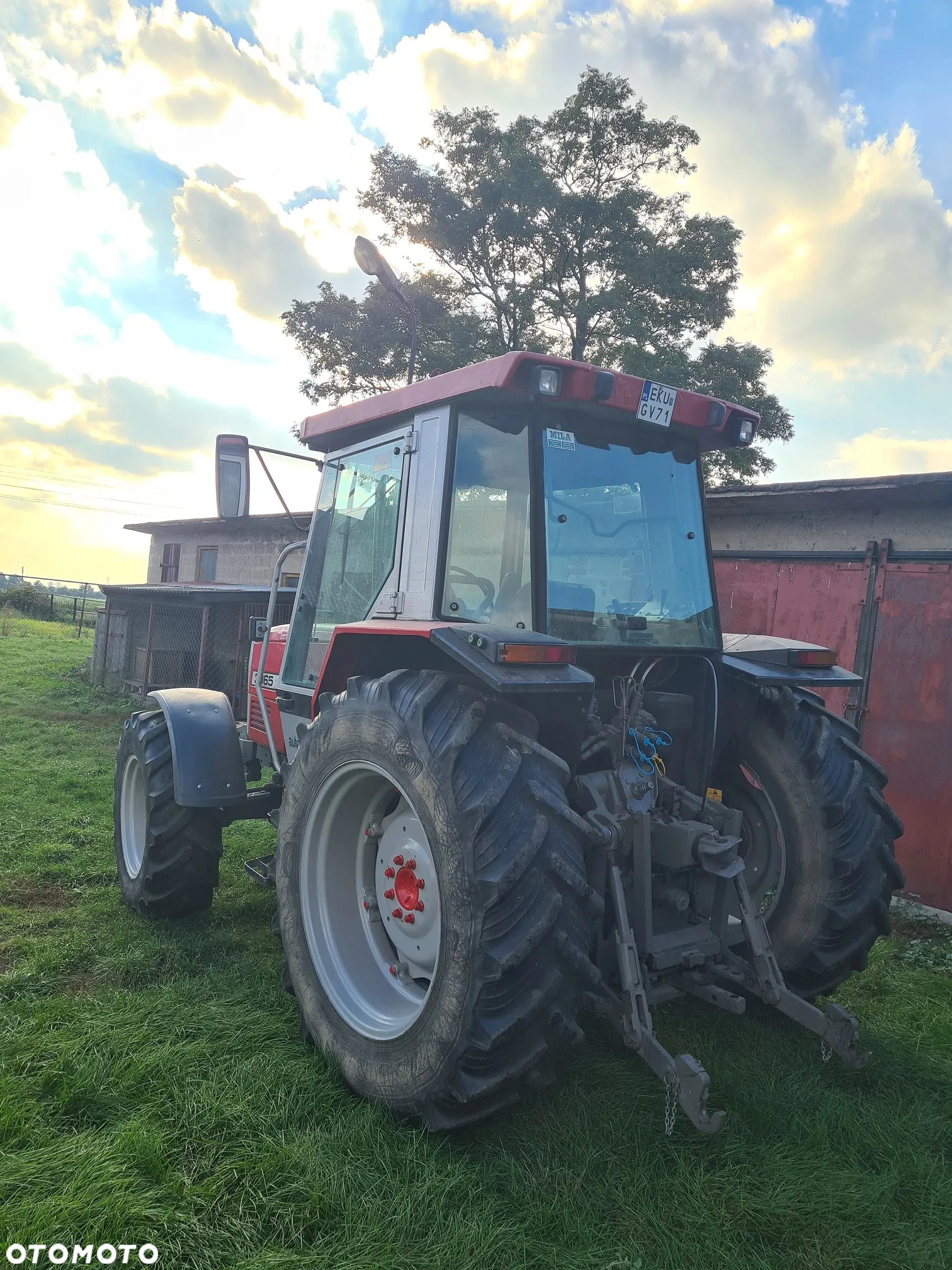 Massey Ferguson 3065 - 6