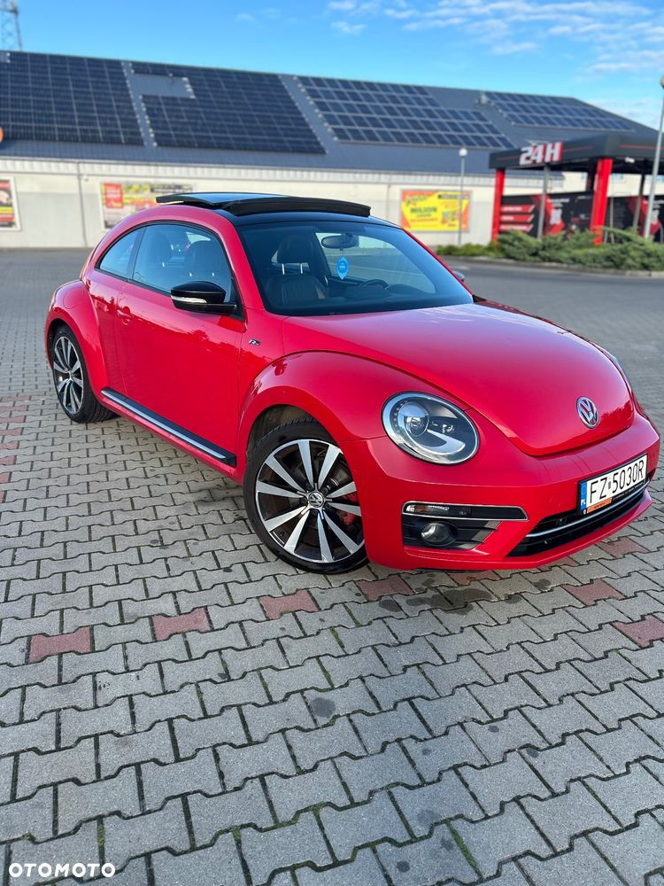 Volkswagen Beetle - 22