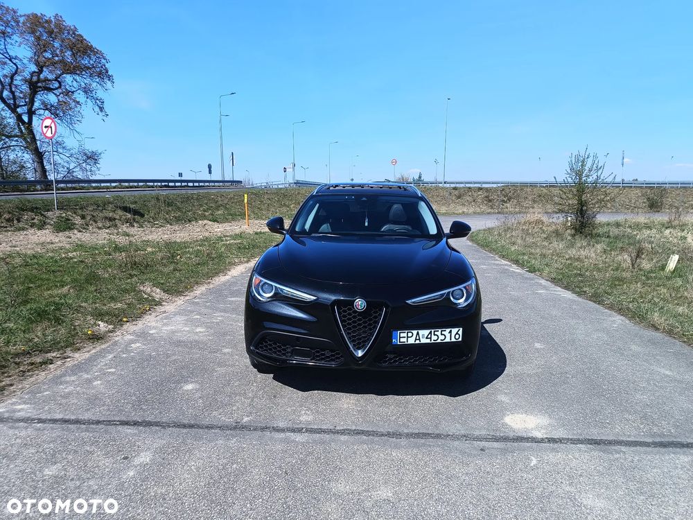 Alfa Romeo Stelvio 2.0 Turbo 16V AT8-Q4 Tributo Italiano - 14