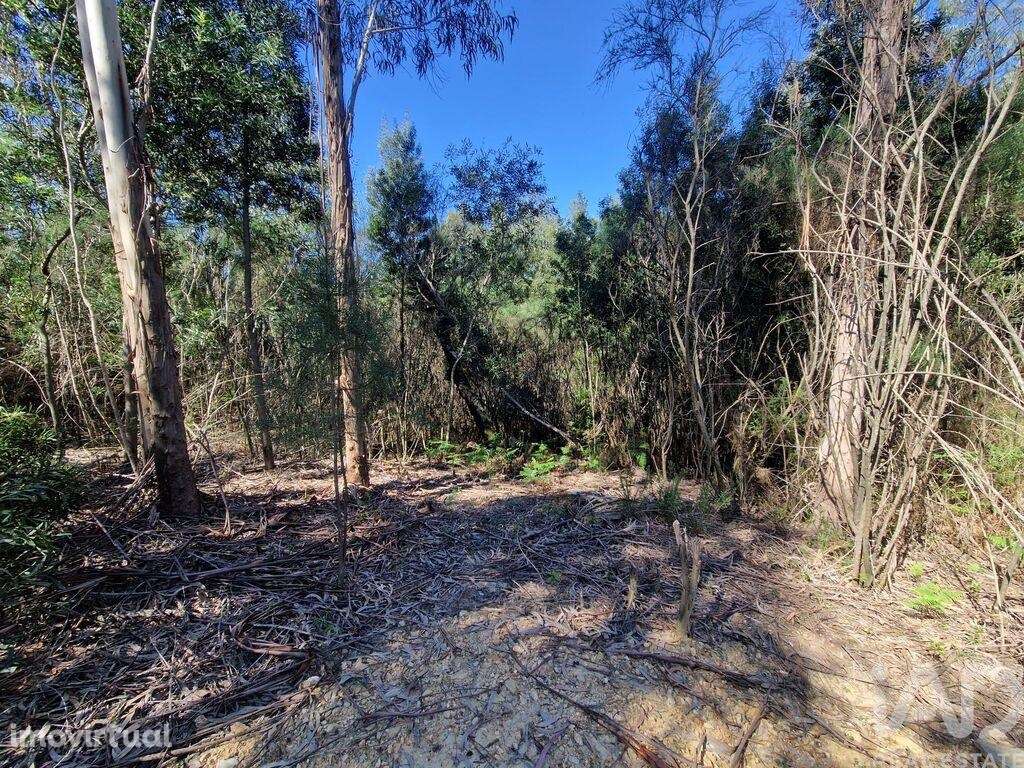 Terreno para construção em Nogueira, Meixedo e Vilar de Murteda de 321 - Grande imagem: 2/22