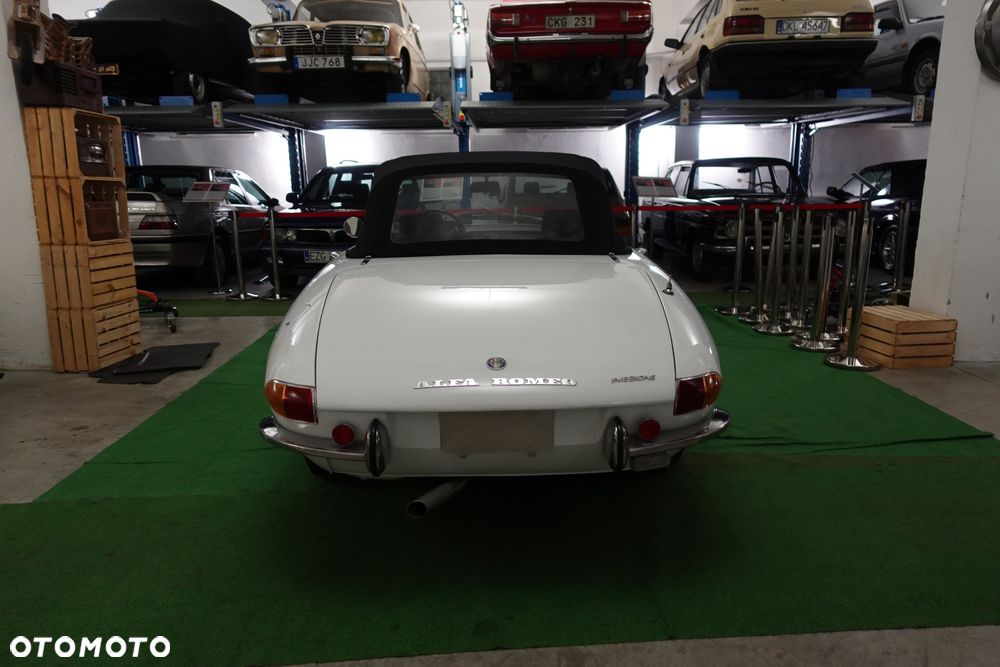 Alfa Romeo Spider - 4