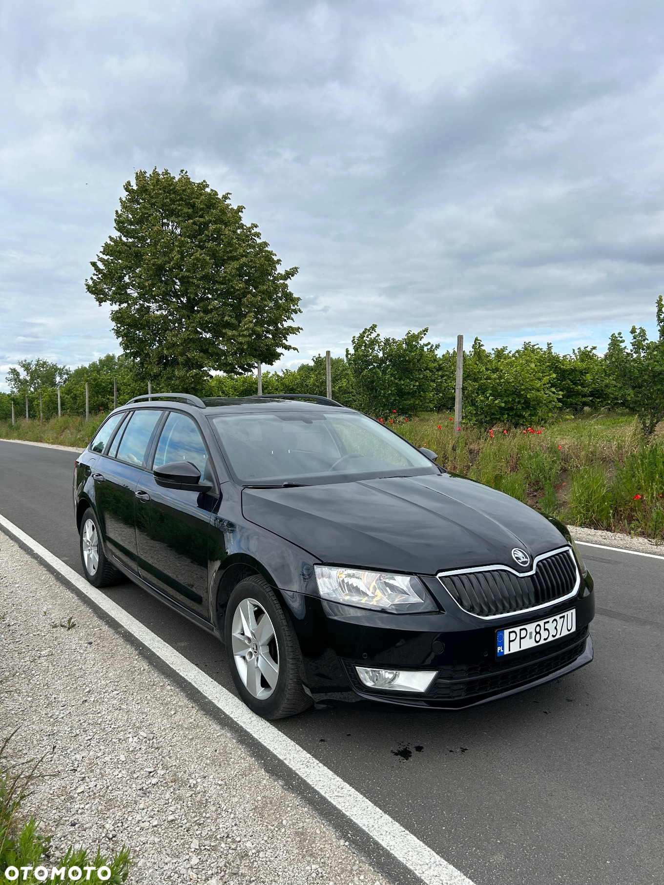 Skoda Octavia 1.4 TSI Active - 2