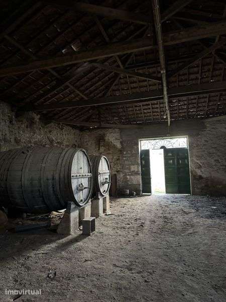 Quinta Douro Cambres N226 - Grande imagem: 4/12
