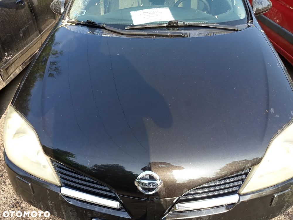NISSAN PRIMERA P12 MASKA BŁOTNIKI REFLEKTORY ZDERZAK PRZEDNI PAS PRZEDNI KOD KOLORU Z11G - 1