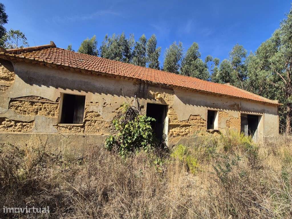 Quinta com cerca de 14 hectares e ruína - Grande imagem: 3/21