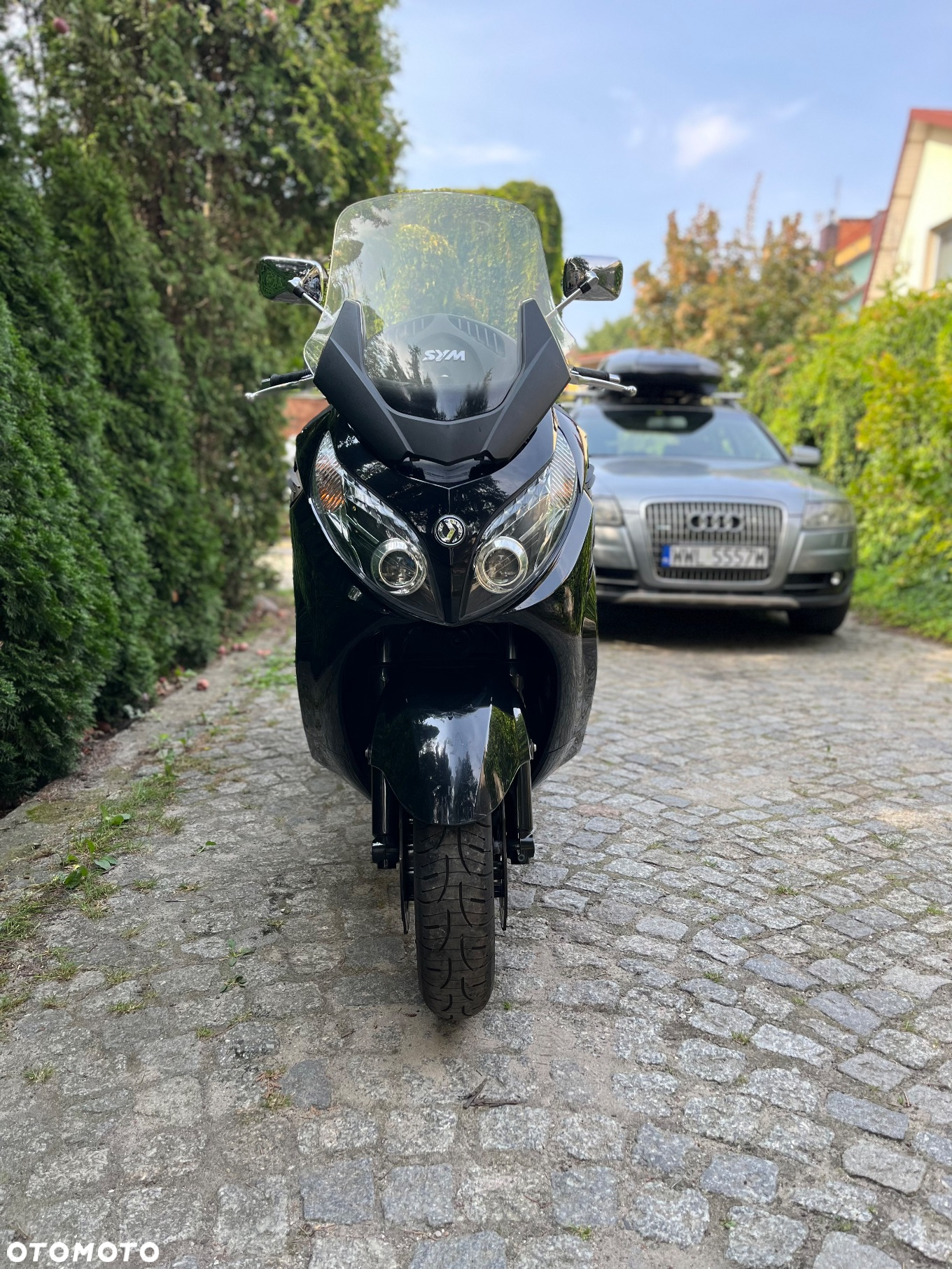 SYM MAXSYM - 12