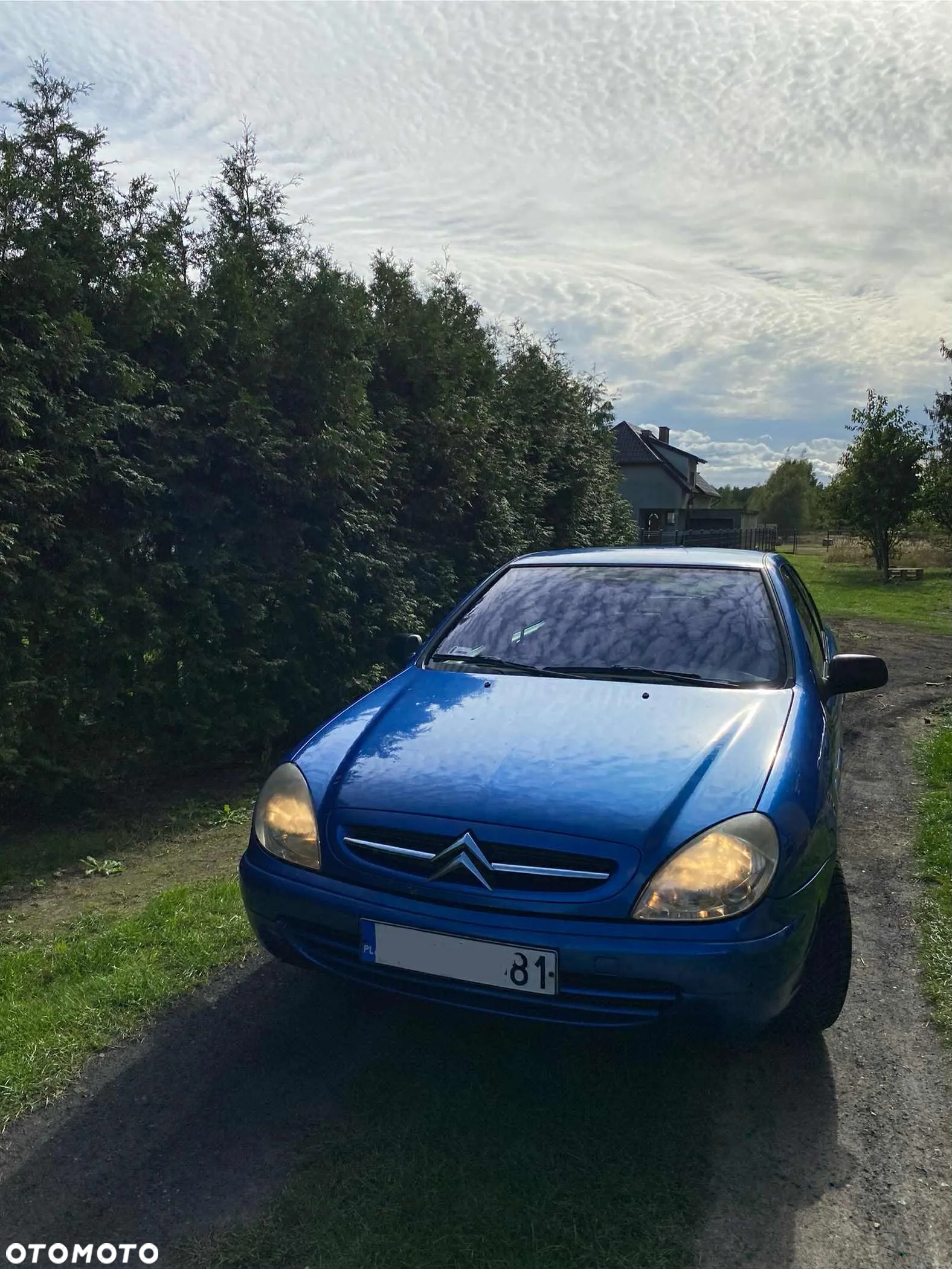 Citroën Xsara - 16
