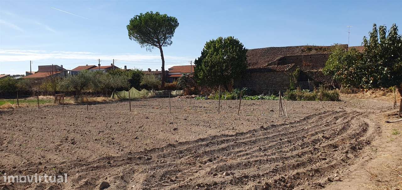 Terreno Rústico  Venda em Algodres, Vale de Afonsinho e Vilar de Amarg - Grande imagem: 2/6