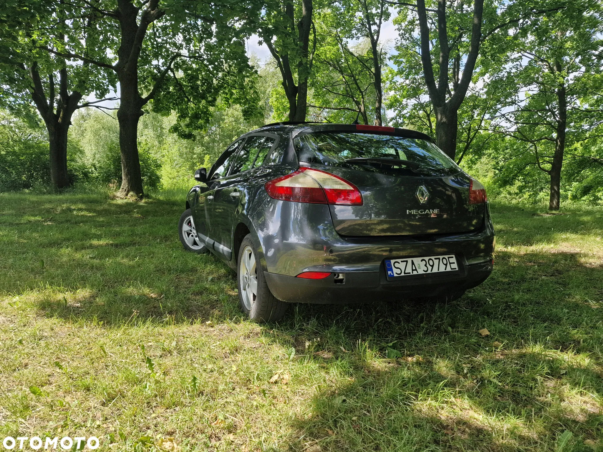Renault Megane - 8