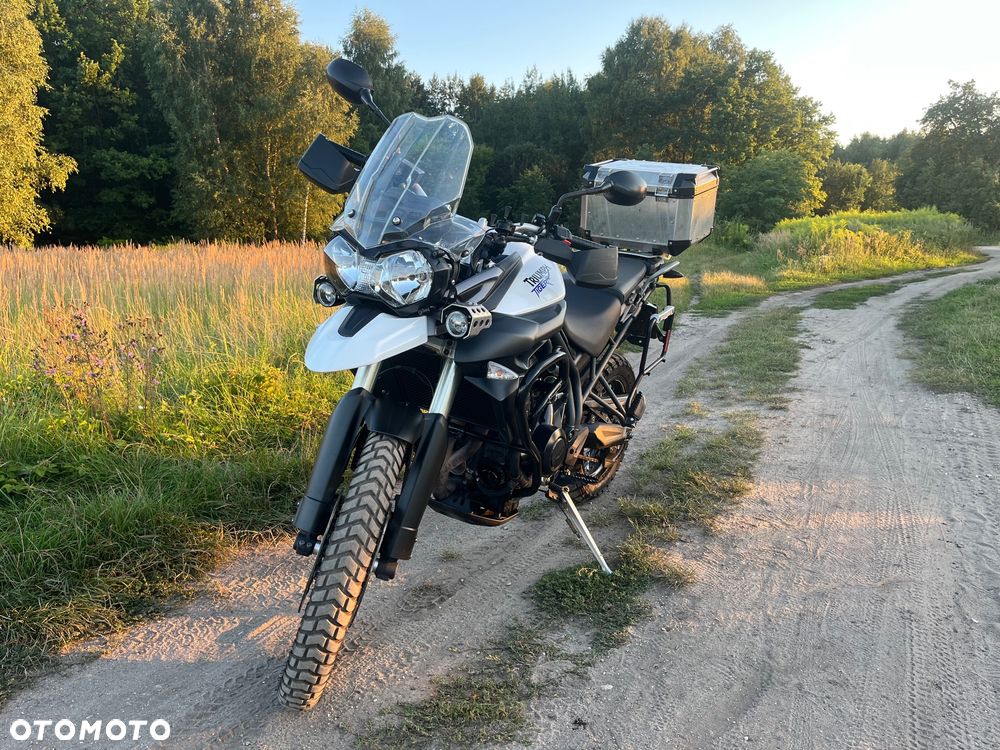Triumph Tiger - 14