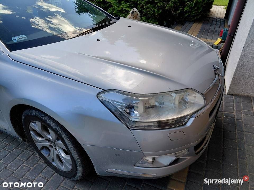 Citroën C5 2.0i 16V Dynamique - 8