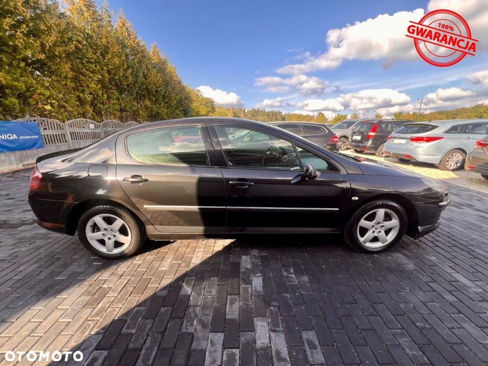 Peugeot 407 - 13