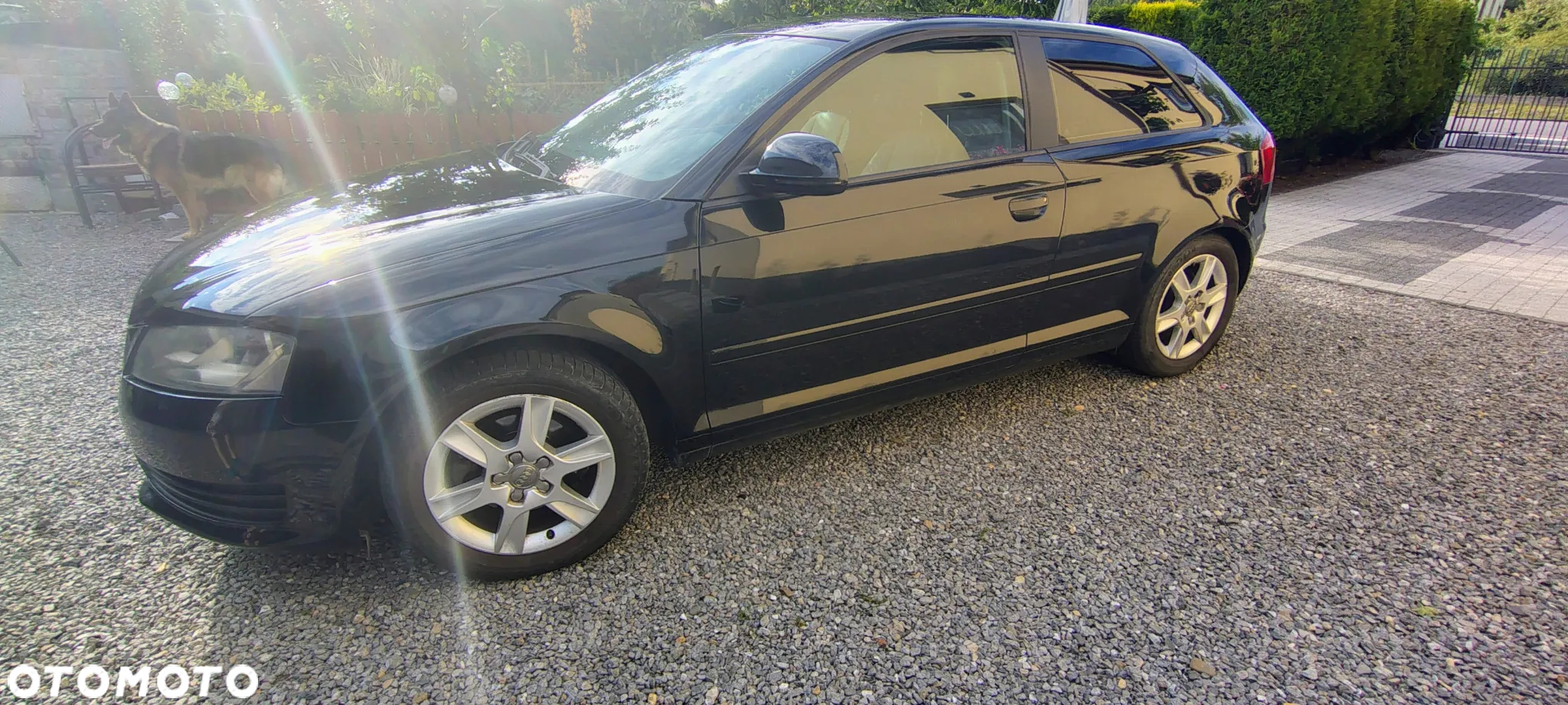 Audi A3 - 4
