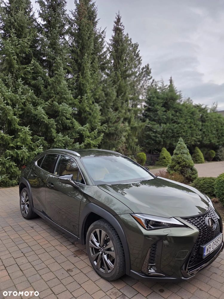 Lexus UX 200 GPF F Sport Edition 2WD - 15