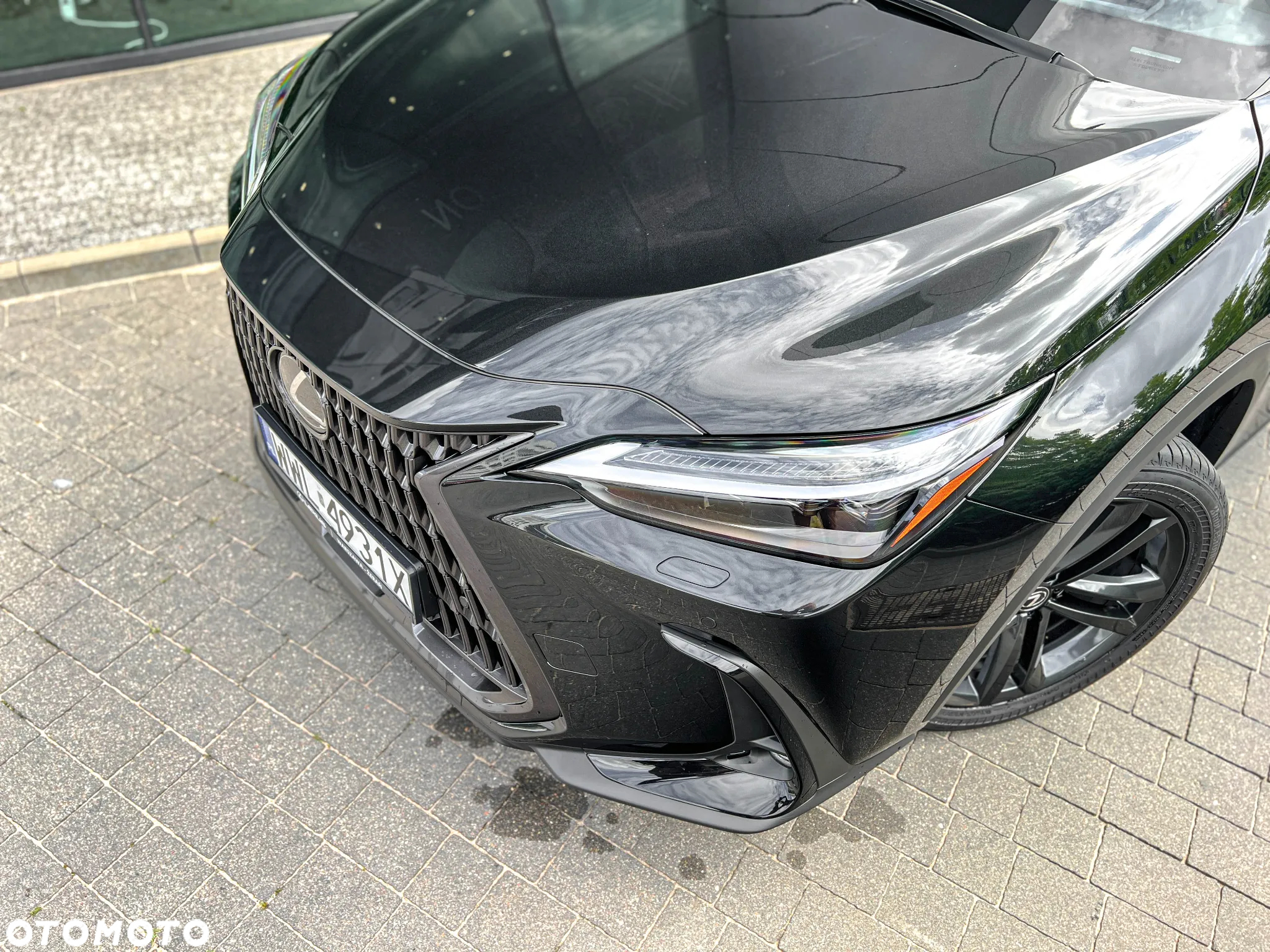 Lexus NX 350h Prestige AWD - 7