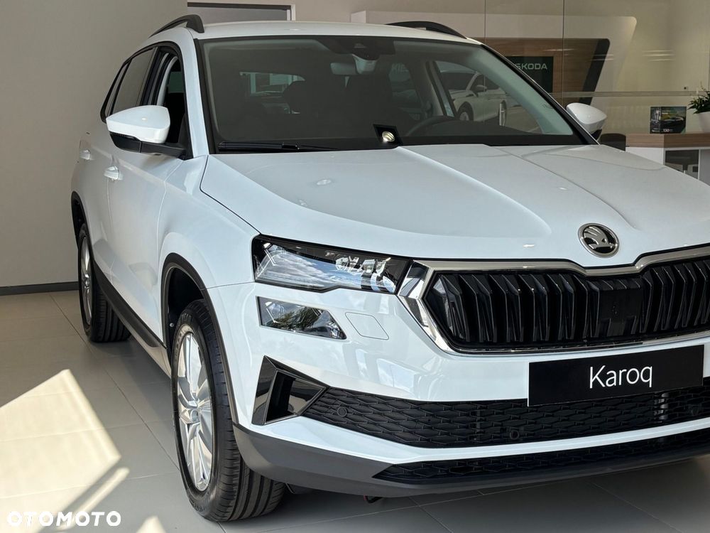 Skoda Karoq - 6