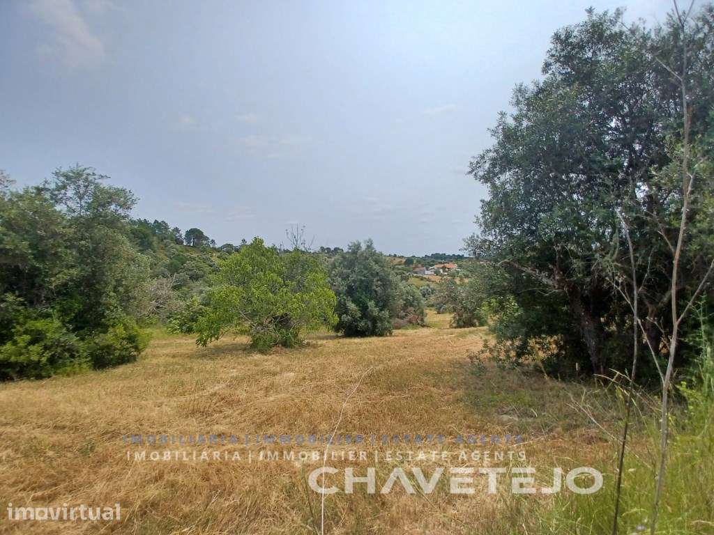 Terreno com 28.000 m2 a cerca de 8 km de Tomar. - Grande imagem: 3/7