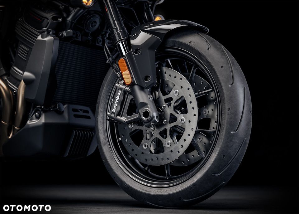 Harley-Davidson Pan America - 10