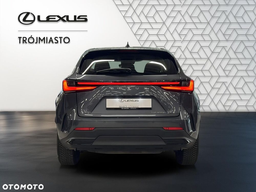 Lexus NX 350h Business AWD - 5