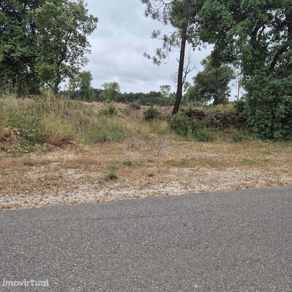 Terreno com 4.560 m² e Viabilidade de Construção – Casais, FZZ - Grande imagem: 2/20
