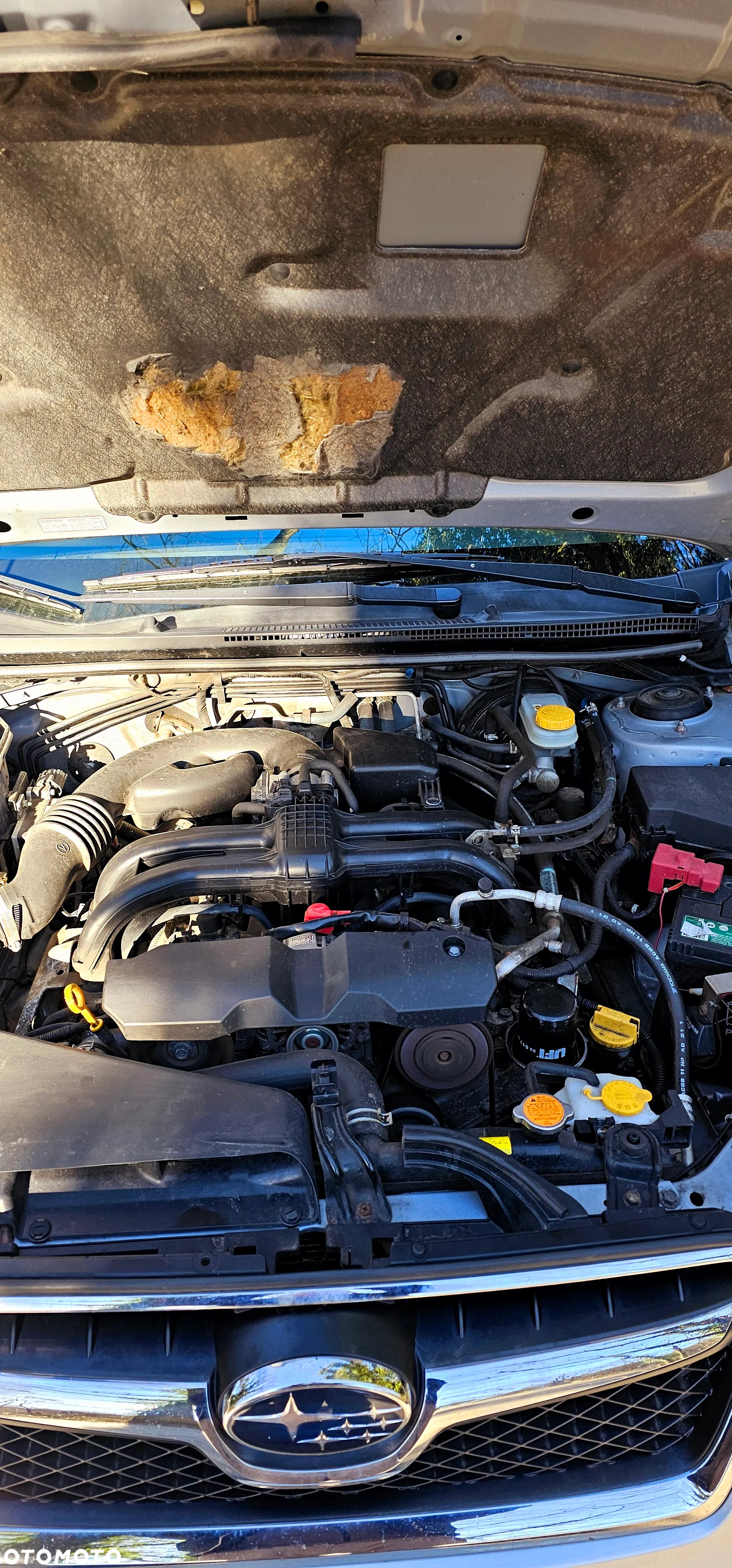 Subaru XV 1.6 i Active - 16