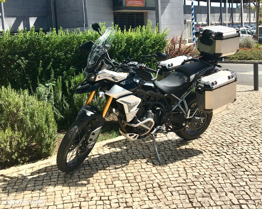 Triumph Tiger Rally Pro - 1