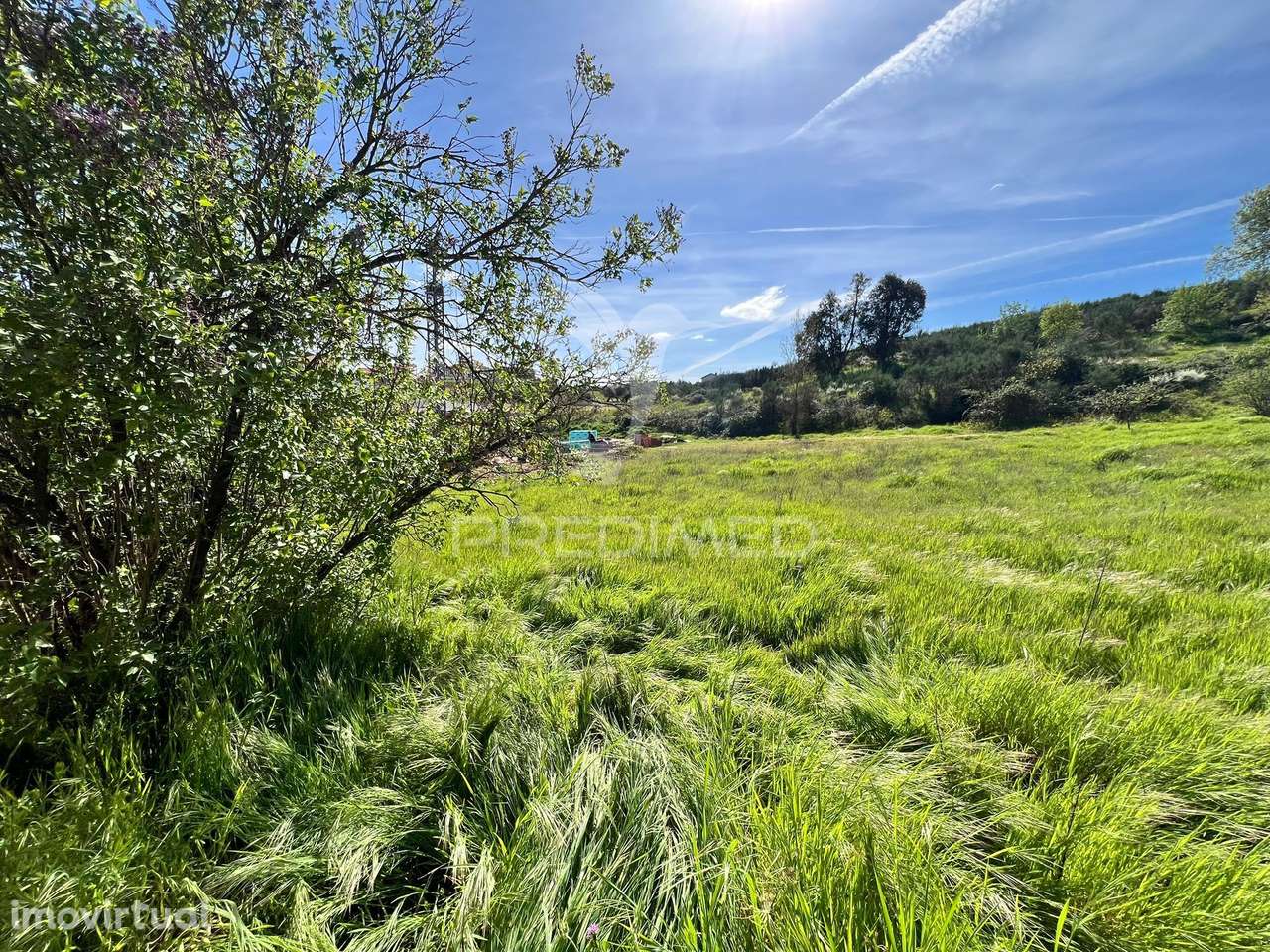 Terreno em Contins, a 10 minutos de Mirandela - Grande imagem: 3/4
