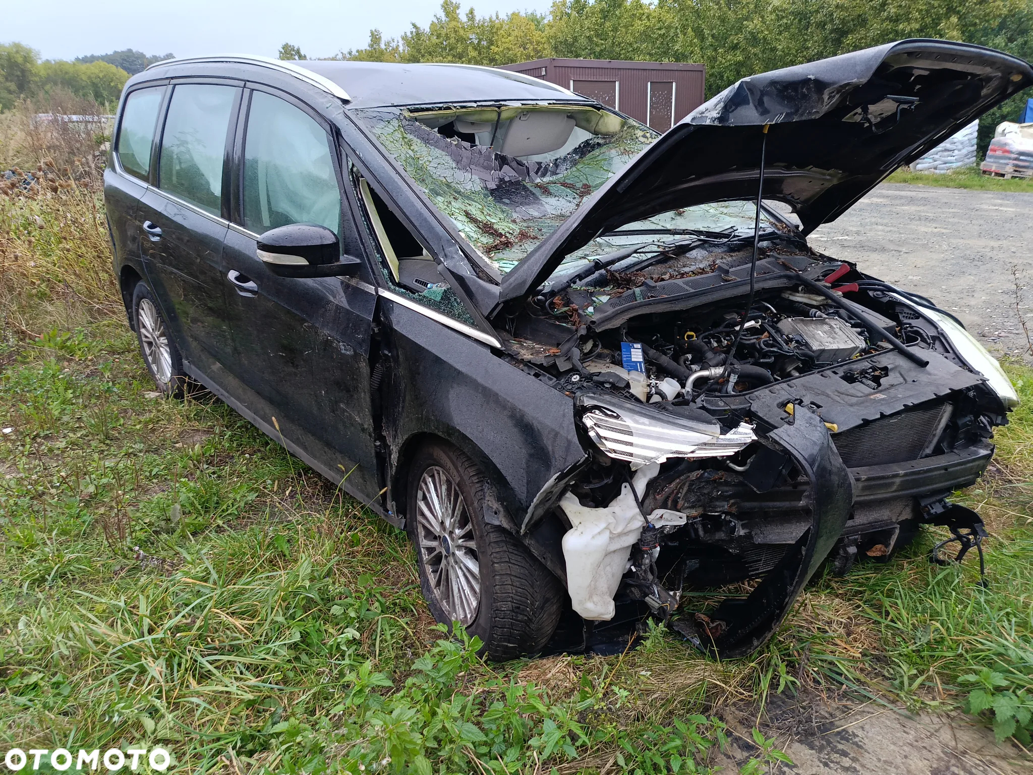 Ford Galaxy 2.0 EcoBlue Twin-Turbo Titanium - 2