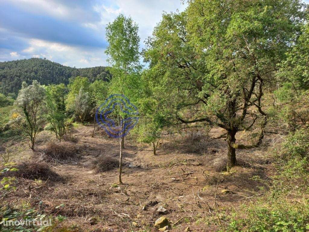 Terreno de 18.000 m2 em Chorense, Terras de Bouro - Braga - Grande imagem: 3/28