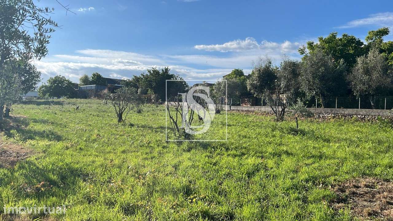 Terreno  Venda em Canas de Santa Maria,Tondela - Grande imagem: 4/20