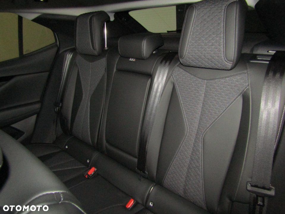 DS Automobiles DS 4 - 15