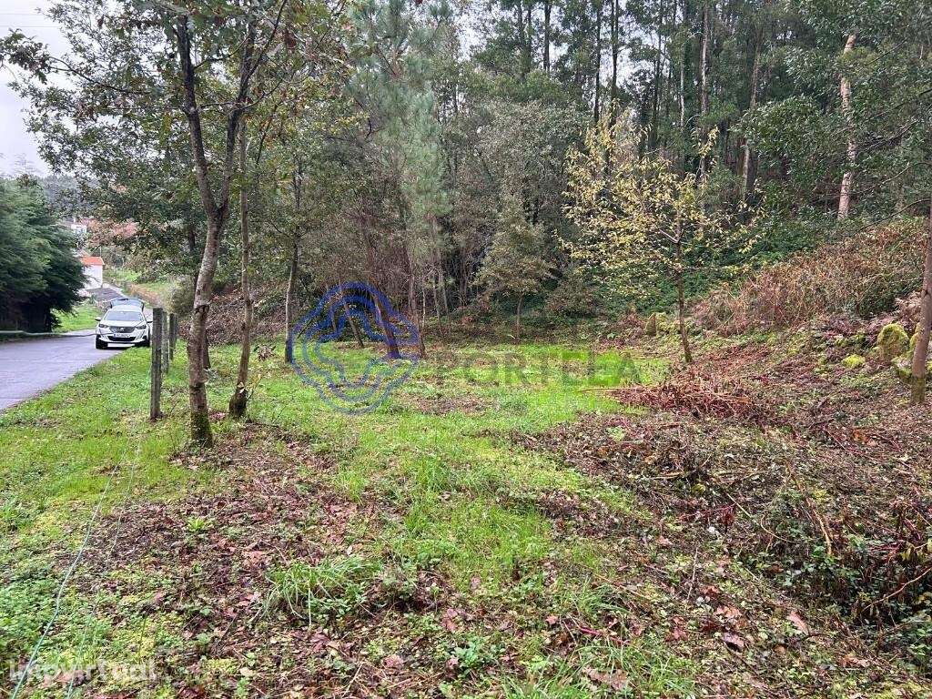 Terreno, Ganfei, Valença - Grande imagem: 3/18