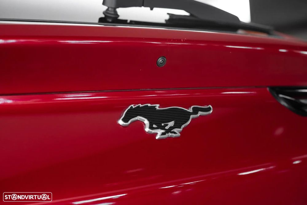 Ford Mustang Mach-E Standard - 12