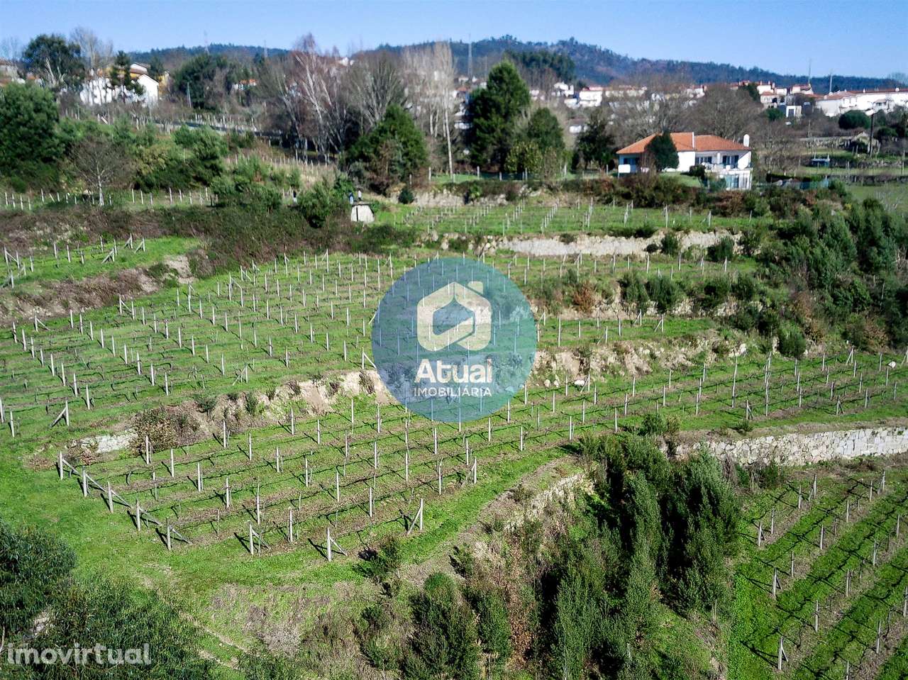 Quinta  Venda em Abragão,Penafiel - Grande imagem: 2/10