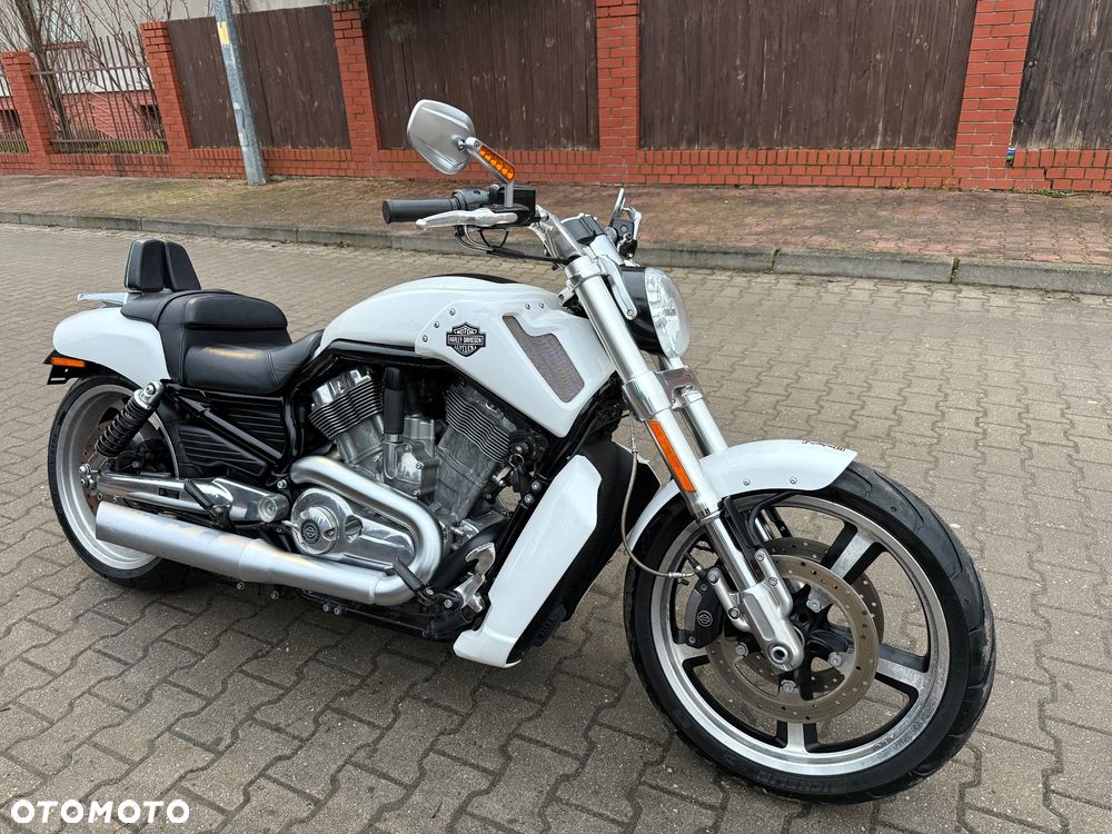 Harley-Davidson V-Rod Muscle - 3