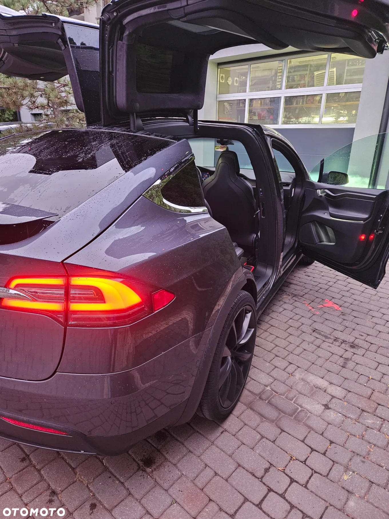Tesla Model X P 100 D - 24