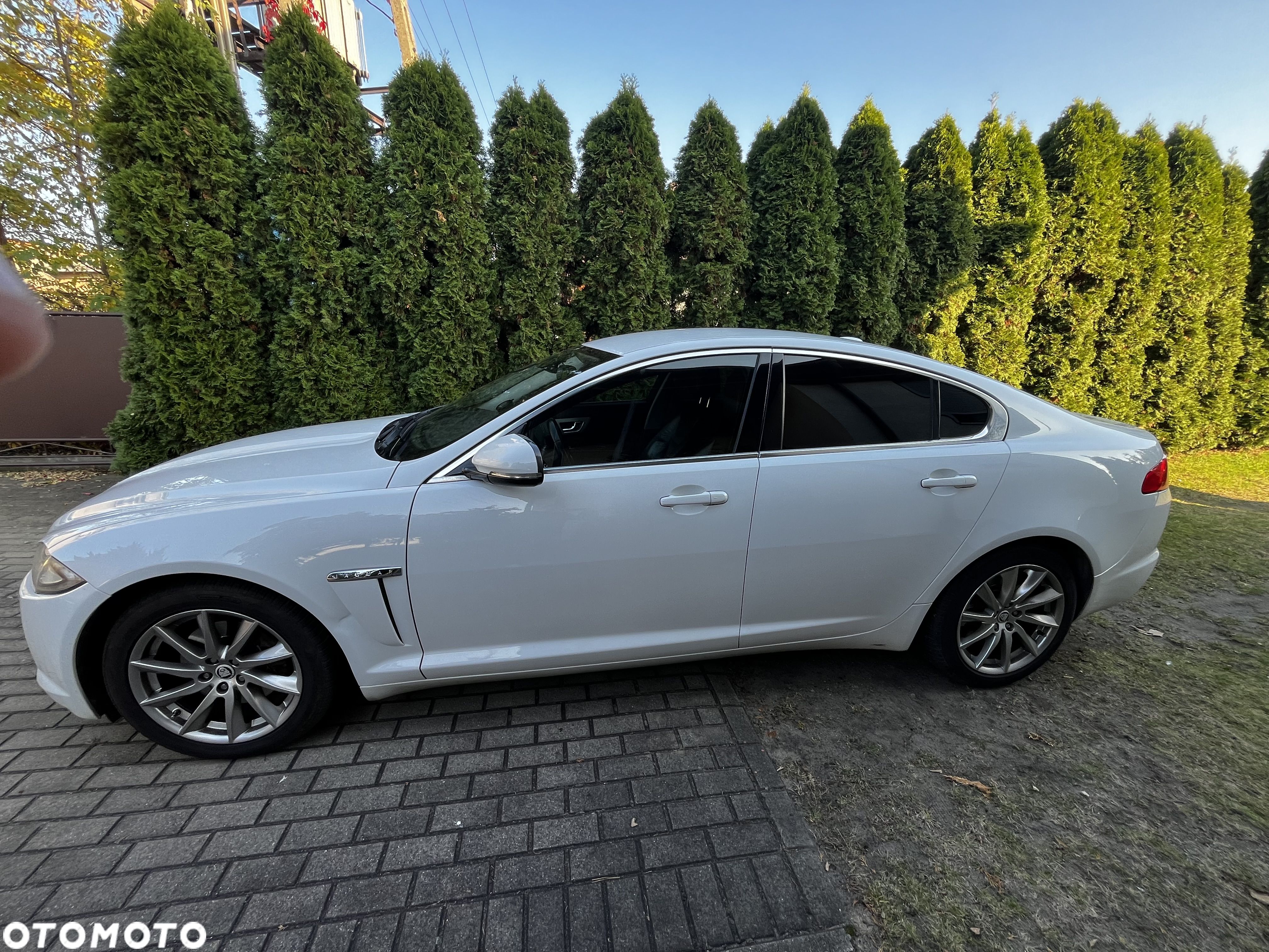 Jaguar XF 2.2 D Luxury - 1