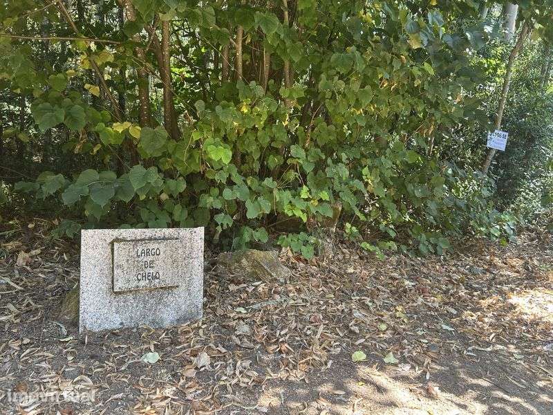 5 Terrenos à Venda em Vilar de Mouros, Caminha — 5.500 m² - Grande imagem: 5/7