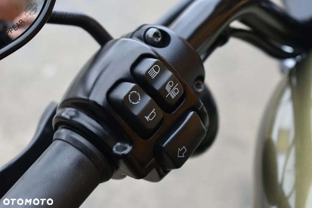 Harley-Davidson Sportster Iron 883 - 15