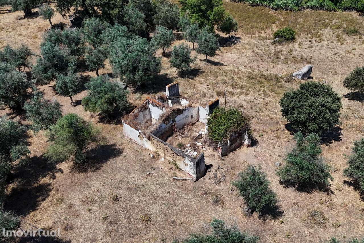 Terreno com 1.45 hectares e projeto aprovado, em Montemor o Novo - Grande imagem: 5/48