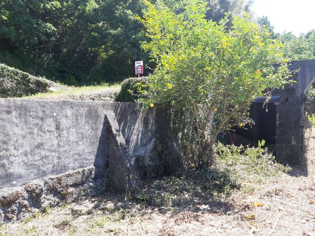 Terreno Agrícola - Bouro Sta Maria - Grande imagem: 5/10