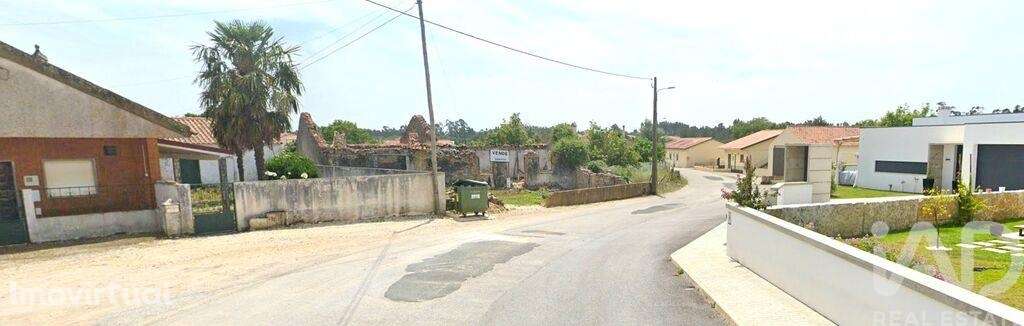 Terreno misto em Aljubarrota - Grande imagem: 2/13