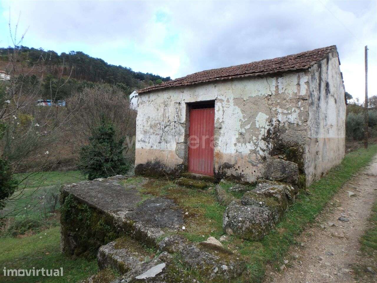 Quinta / Seia, São Romão - Grande imagem: 3/19