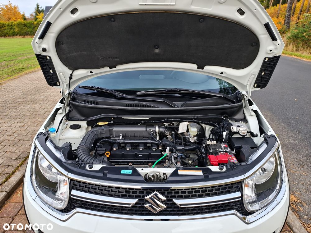 Suzuki Ignis - 24