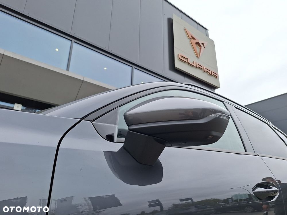 Cupra Terramar - 16