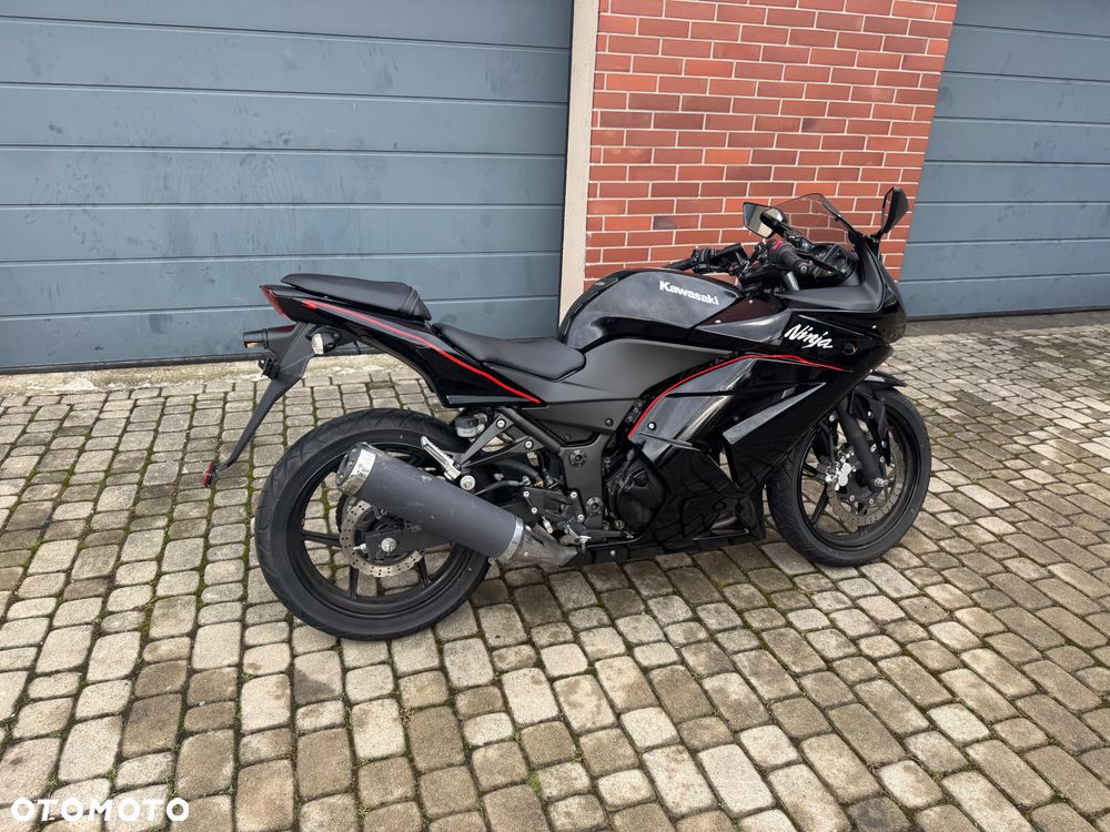 Kawasaki Ninja 250R - 3