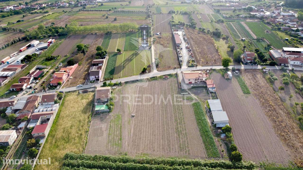 Lote em Bolho (com 2032 m2 ), Cantanhede - Grande imagem: 2/10
